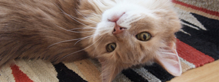 20130516_628041.jpg