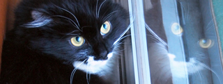 20130601_665071.jpg