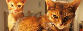 20130601_665072.jpg