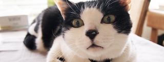 20130601_665073.jpg