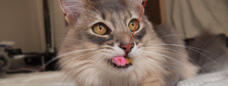 20130615_696432.jpg
