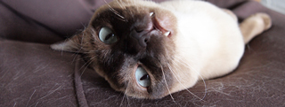 20130615_696433.jpg