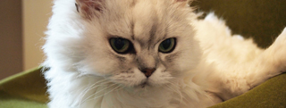 20130615_696434.jpg