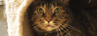 20130701_733401.jpg