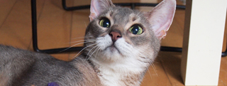 20130701_733402.jpg