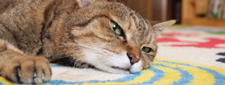 20130715_762789.jpg