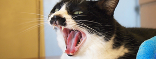20130715_762790.jpg