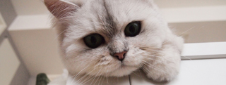 20130715_762791.jpg