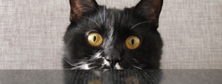 20130801_797724.jpg