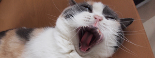 20130801_797726.jpg