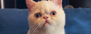 20130905_868652.jpg