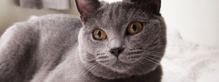 20130905_868653.jpg