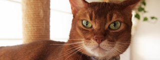 20130905_868654.jpg