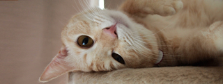 20130910_879698.jpg