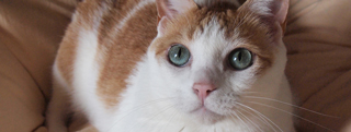 20130910_879699.jpg
