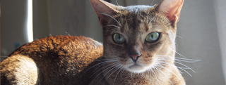20130910_879700.jpg