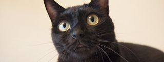 20130920_901119.jpg