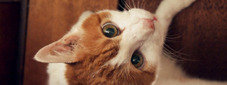 20130920_901120.jpg