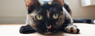 20130920_901121.jpg