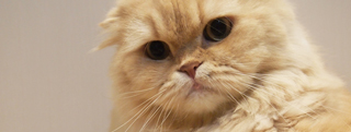 20131001_925669.jpg