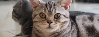 20131001_925671.jpg