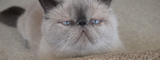 20131001_925672.jpg