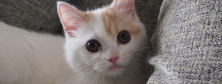 20131019_960870.jpg