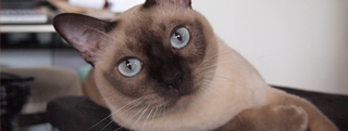 20131019_960871.jpg