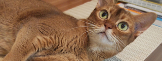 20131019_960872.jpg