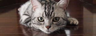 20131102_990543.jpg