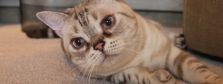 20131102_990544.jpg