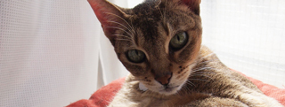 20131102_990545.jpg