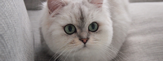 20131119_1025637.jpg