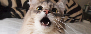 20131119_1025638.jpg