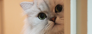 20131119_1025639.jpg