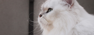 20131203_1051351.jpg