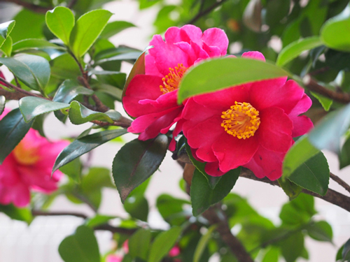 20140131_671114.jpg