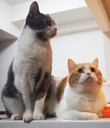 P1046334.jpg