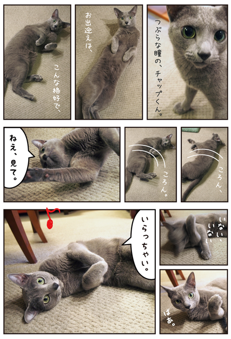 チャップくんのお出迎え.jpg