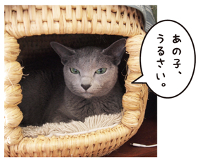 藍ちゃん.jpg