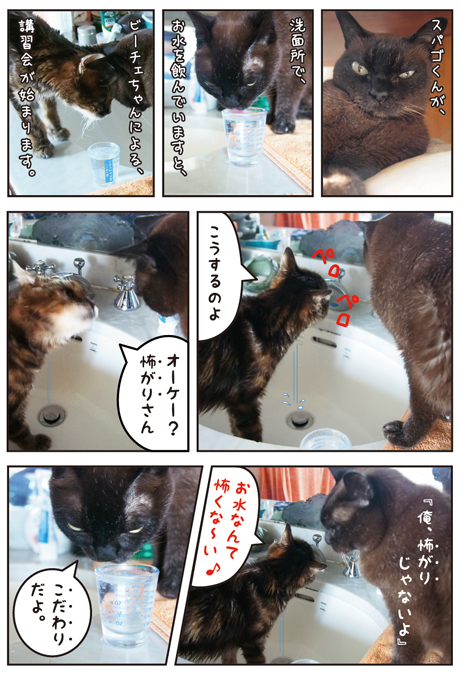 女ボスと男ボス.jpg