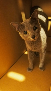 P6210009-3.jpg