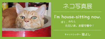 バナー1.jpg