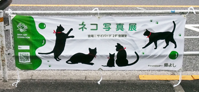 P4200006.jpg