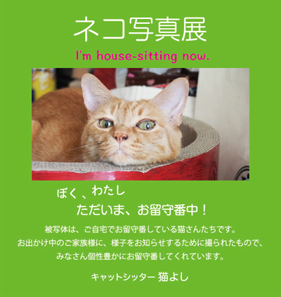 sasikomi11.jpg