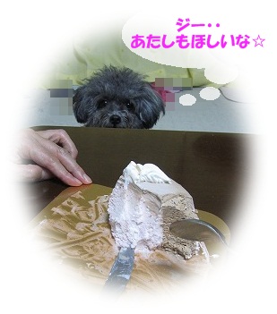 s-IMG_8432.jpg