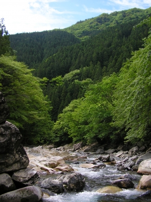 天 川村 漁協