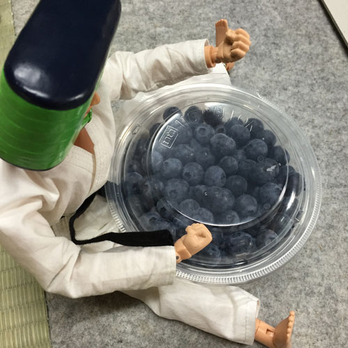 ブルーベリー