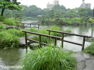 清澄庭園2