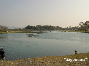 加賀 5